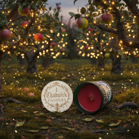 Apple orchard with glowing lights and two cans of 'Cumberland' cider.