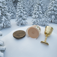 Two wine glasses and a bottle on a snowy ground with trees in the background